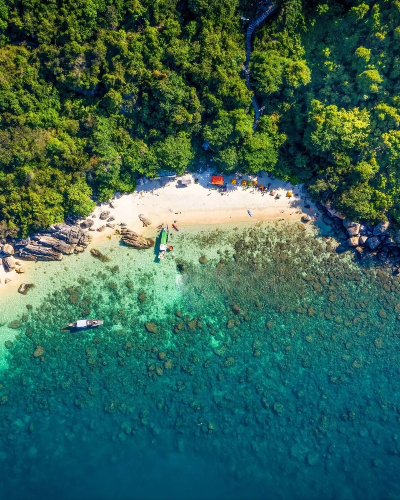 Aerial view of a forested cove and rocky coastline near Son Tra, Da Nang