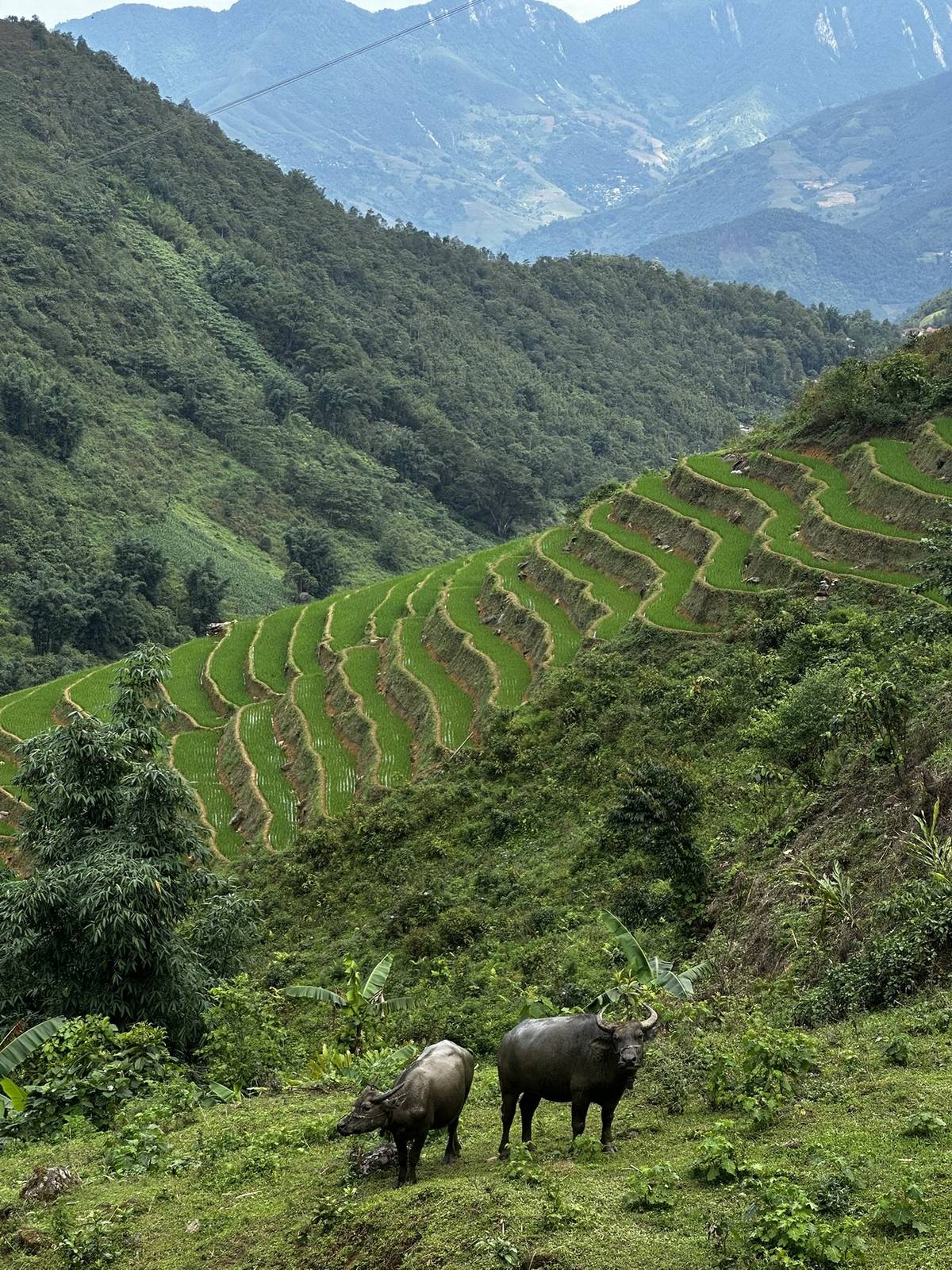 4. Sapa - beautiful to visit, hard to actually live in