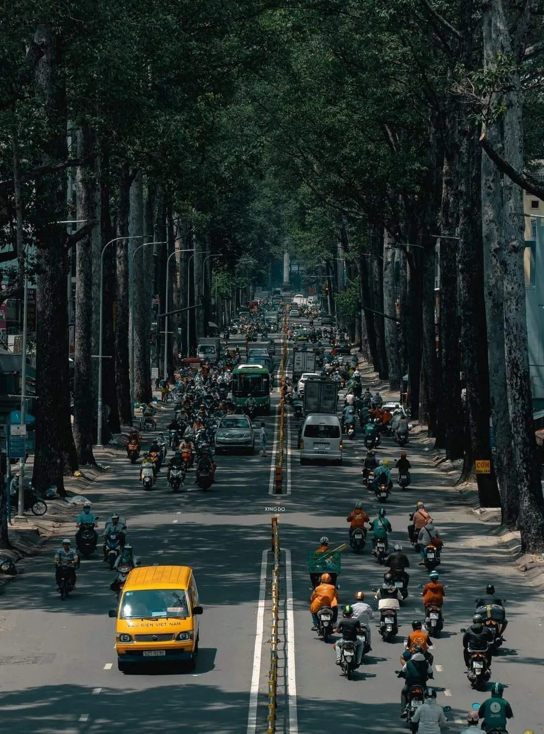 Tree-lined Vietnamese street packed with motorbikes and a delivery van