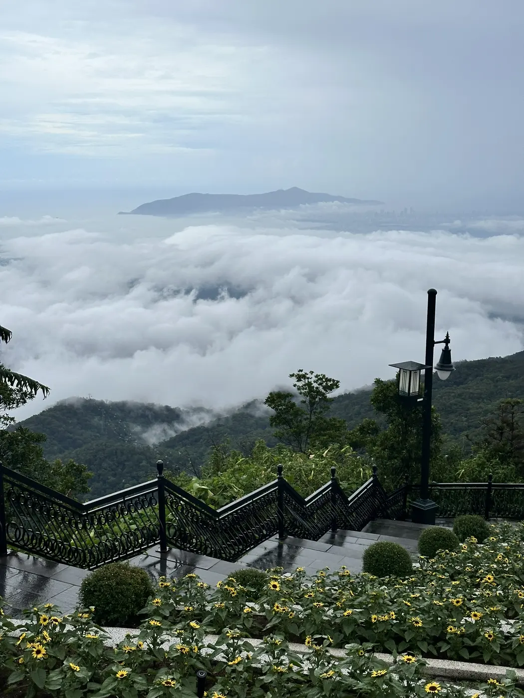 Wet stone steps and sunflowers above a sea of clouds on Ba Na Hills