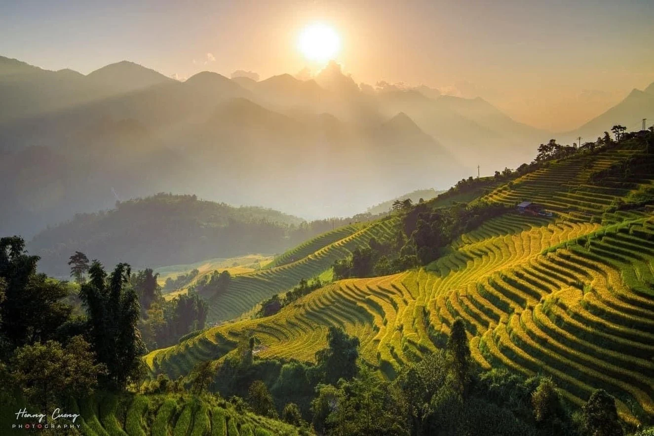 Terraced rice fields in the hills above Da Nang