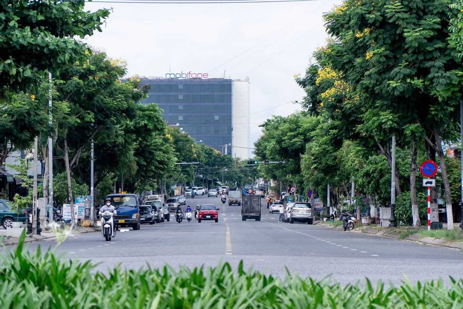 Street scene in Da Nang with motorbikes and palm trees
