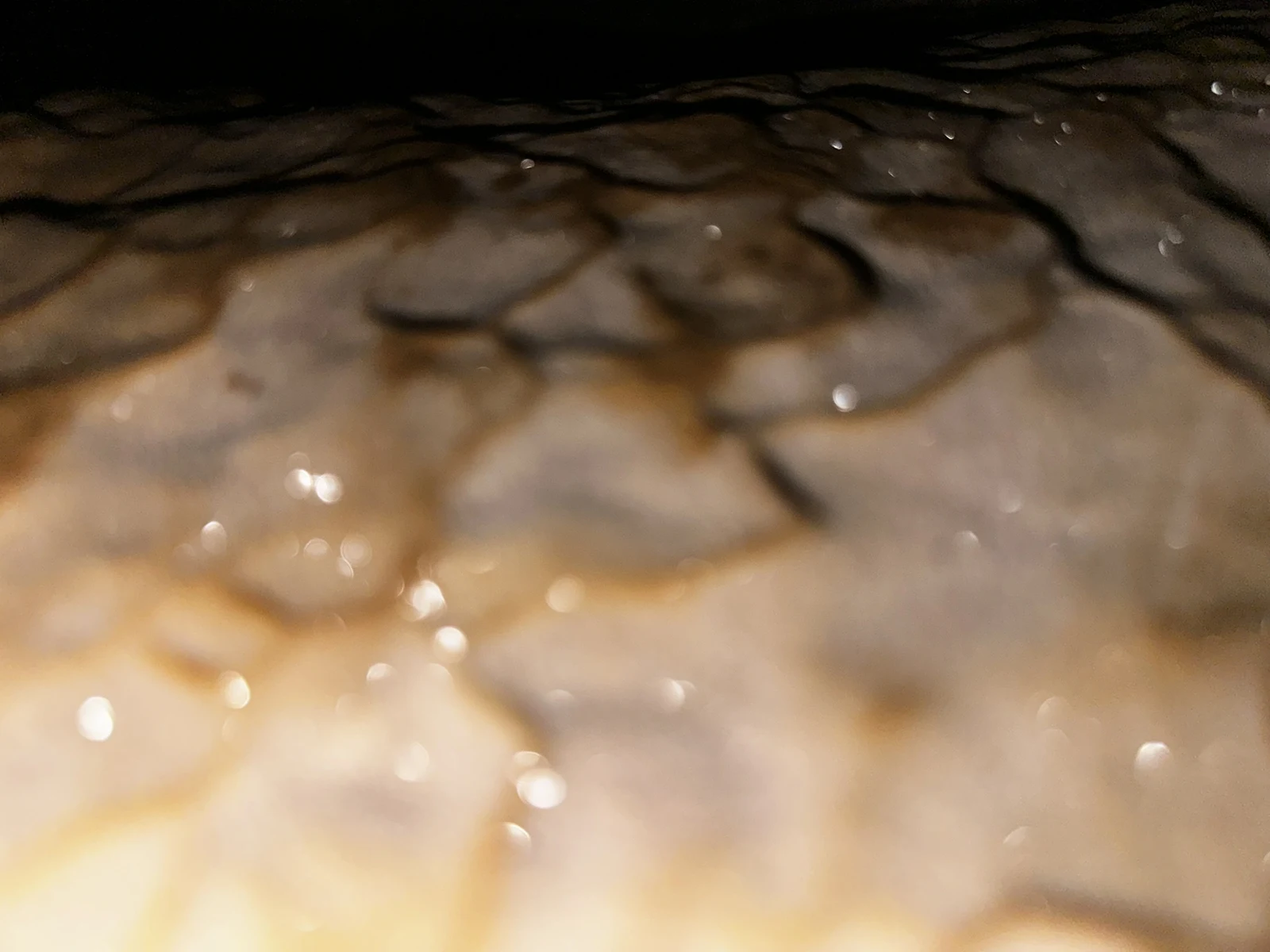Wet limestone cave ceiling in northern Vietnam