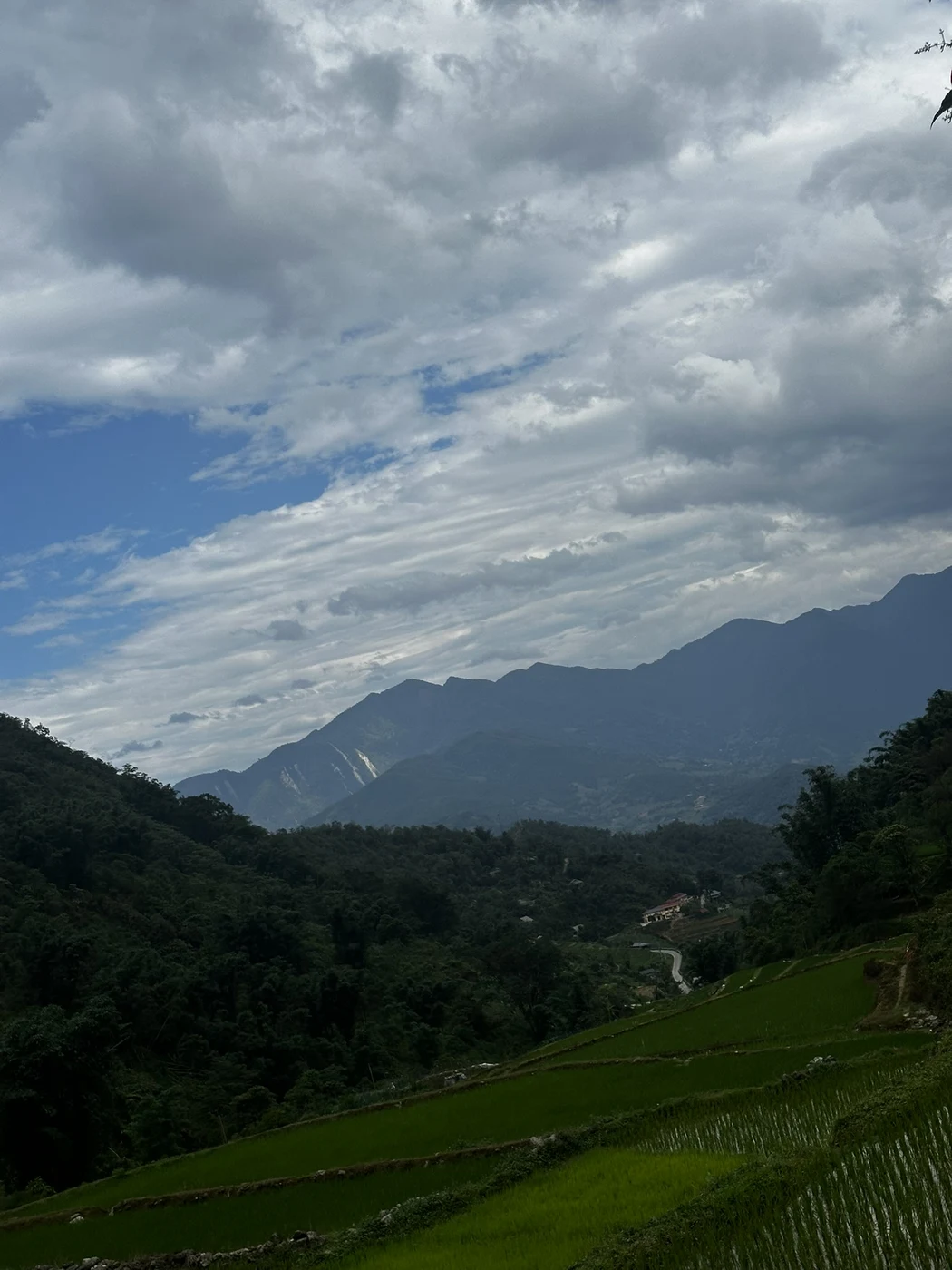 Misty mountain valley with green rice terraces near Sapa, Vietnam