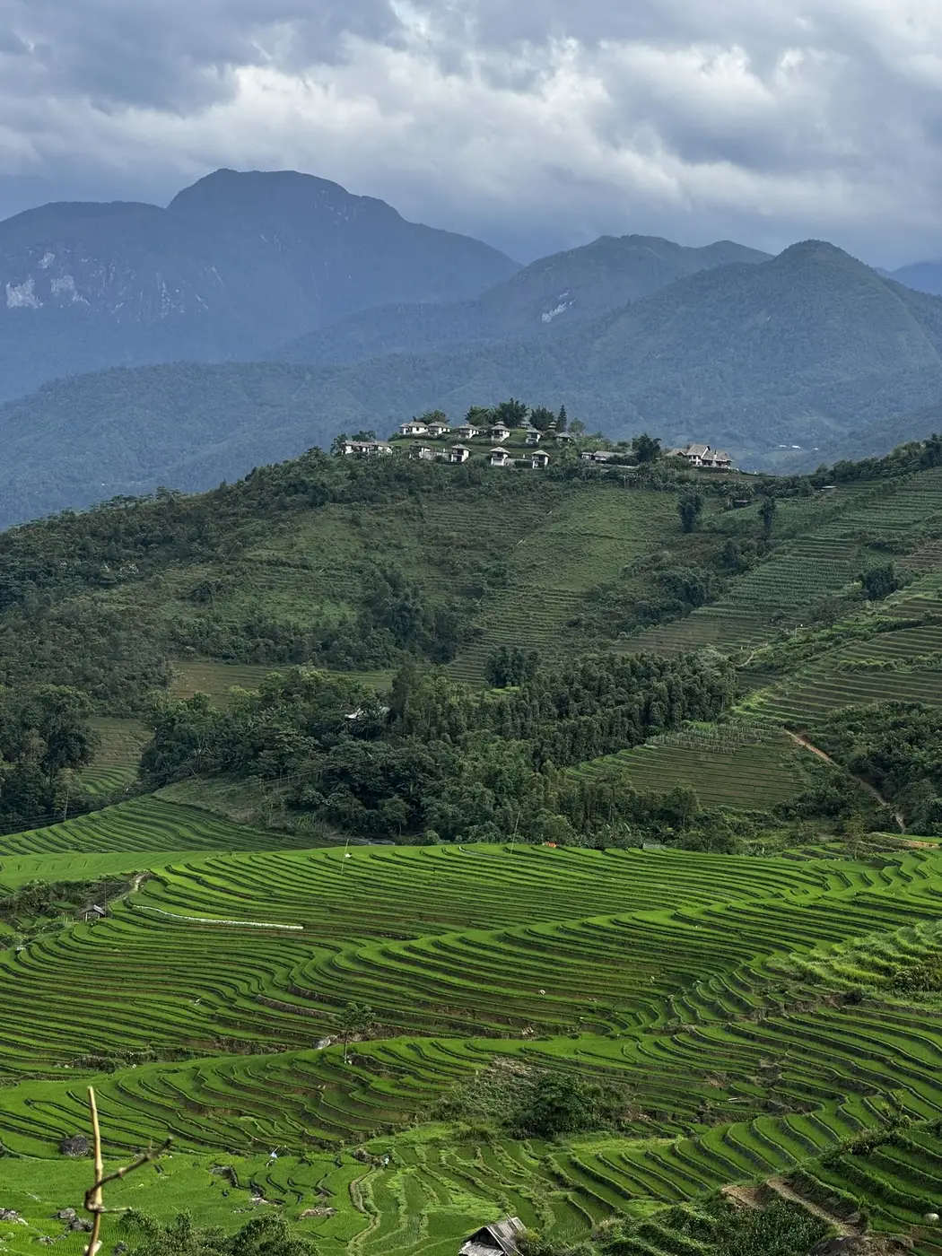 Green rice terraces climb toward a small mountain village in Sapa