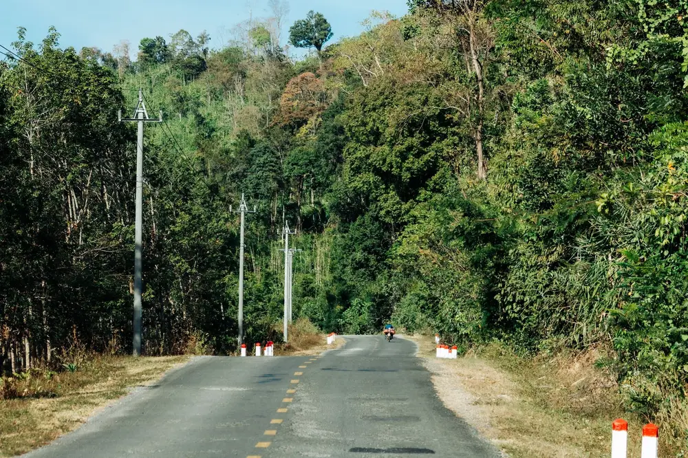 A quiet paved road winding through green countryside in Vietnam