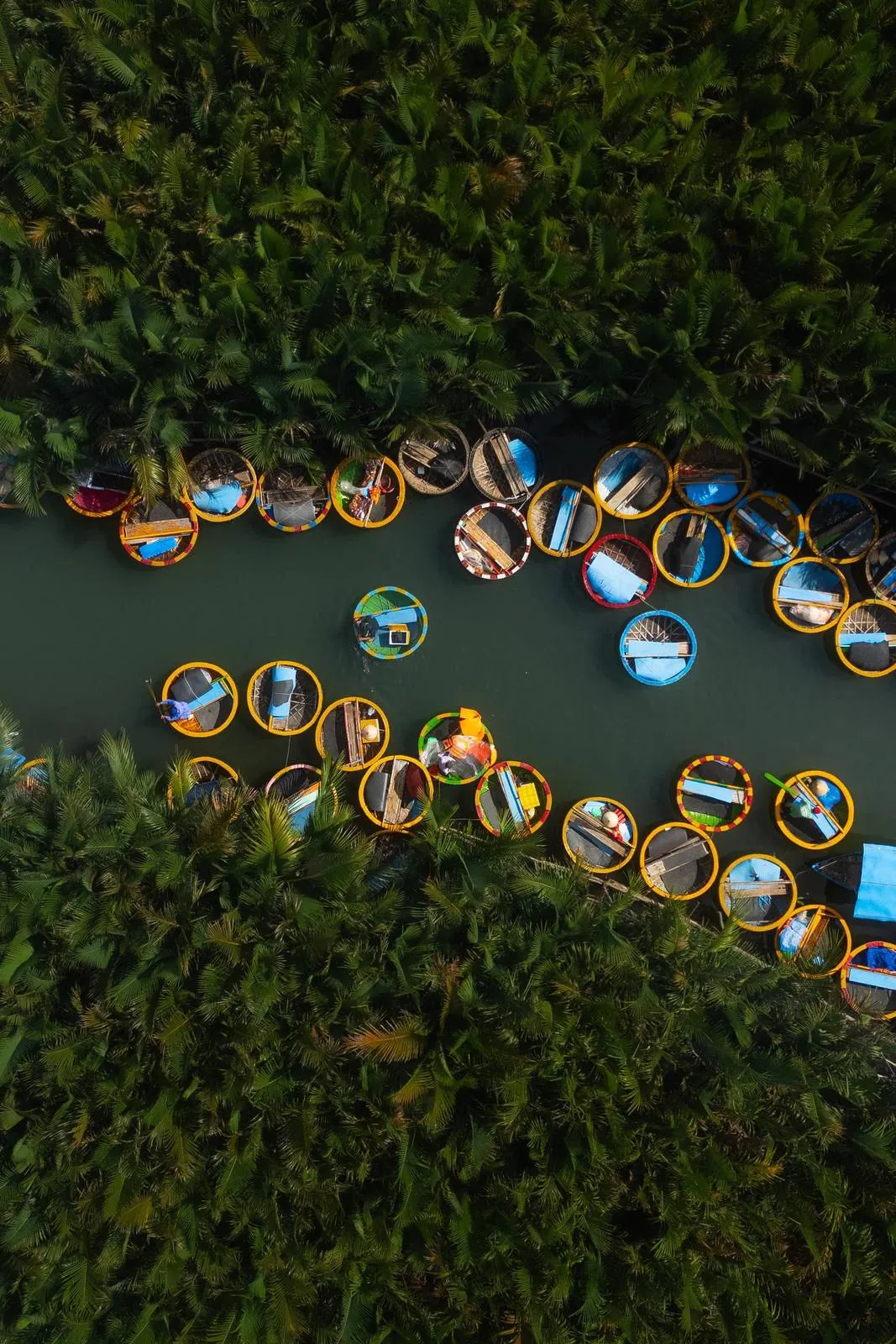 Aerial view of round basket boats floating on a river near Hoi An, Vietnam