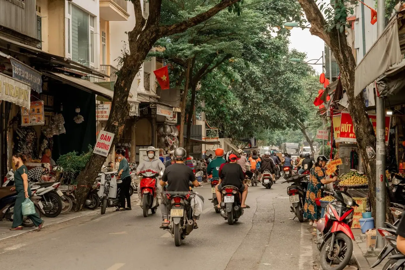 Street scene lined with trees and shopfronts in Da Nang