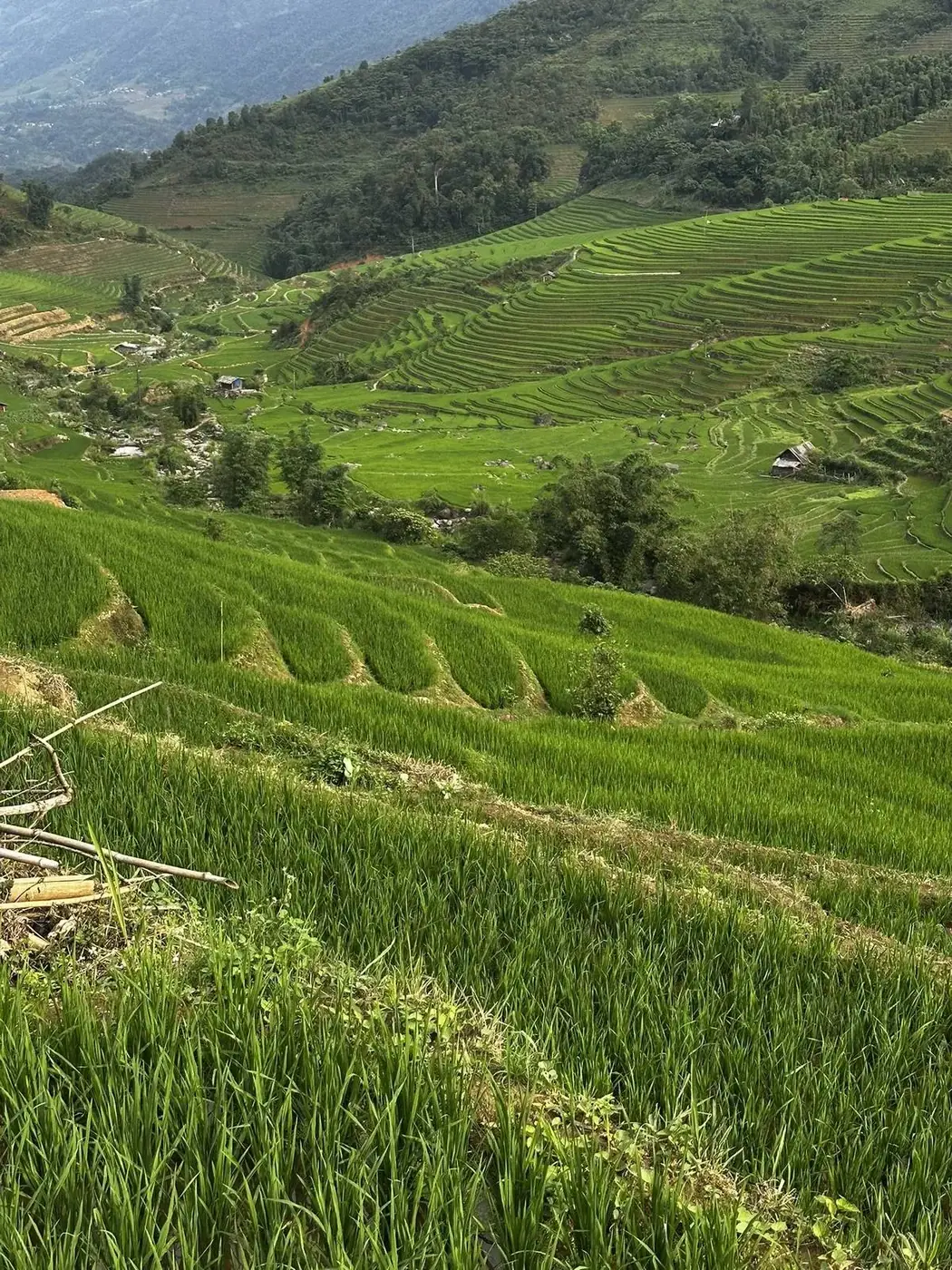 Misty mountain ridge above Sapa, northern Vietnam