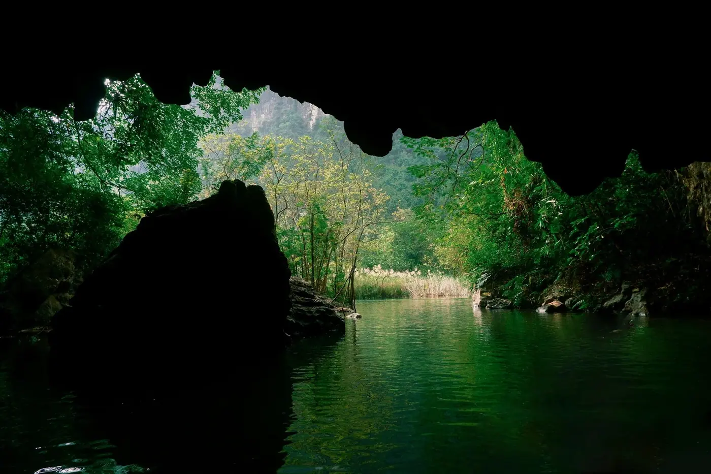Hue to Phong Nha 2026: Bus, Transfer and Train Prices
