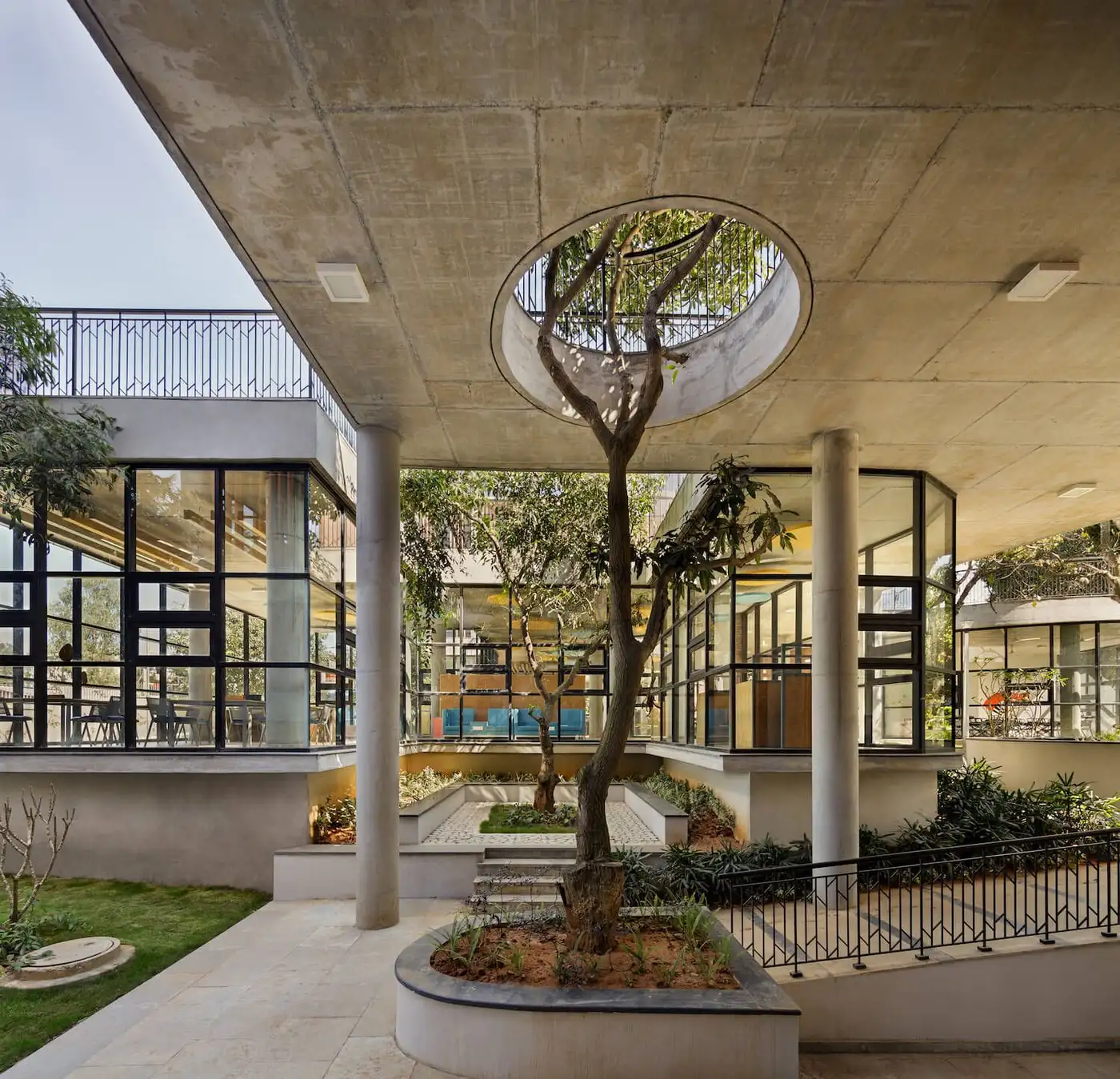 Glass-walled classrooms around a courtyard with a mango tree and a round skylight