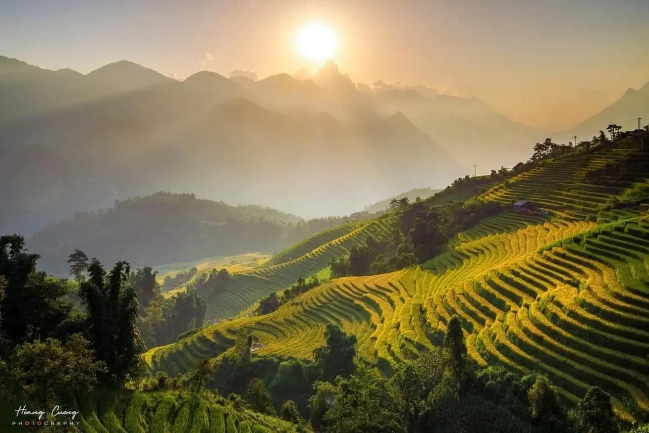 Jobs in Vietnam for Foreigners 2026: Real Pay