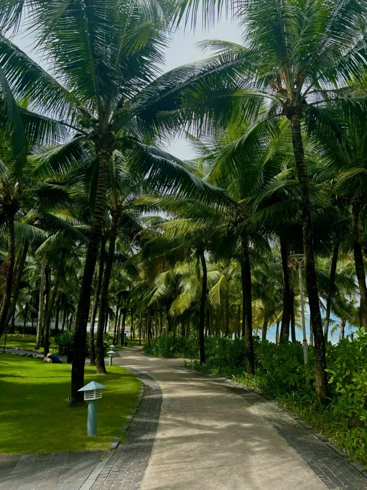 Vietnam long-stay