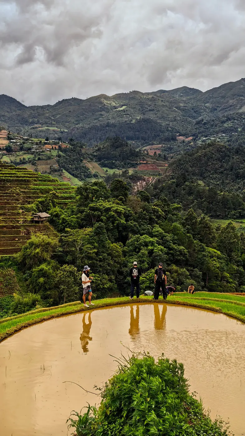 Travelers standing by a flooded rice terrace reservoir framed by green hills