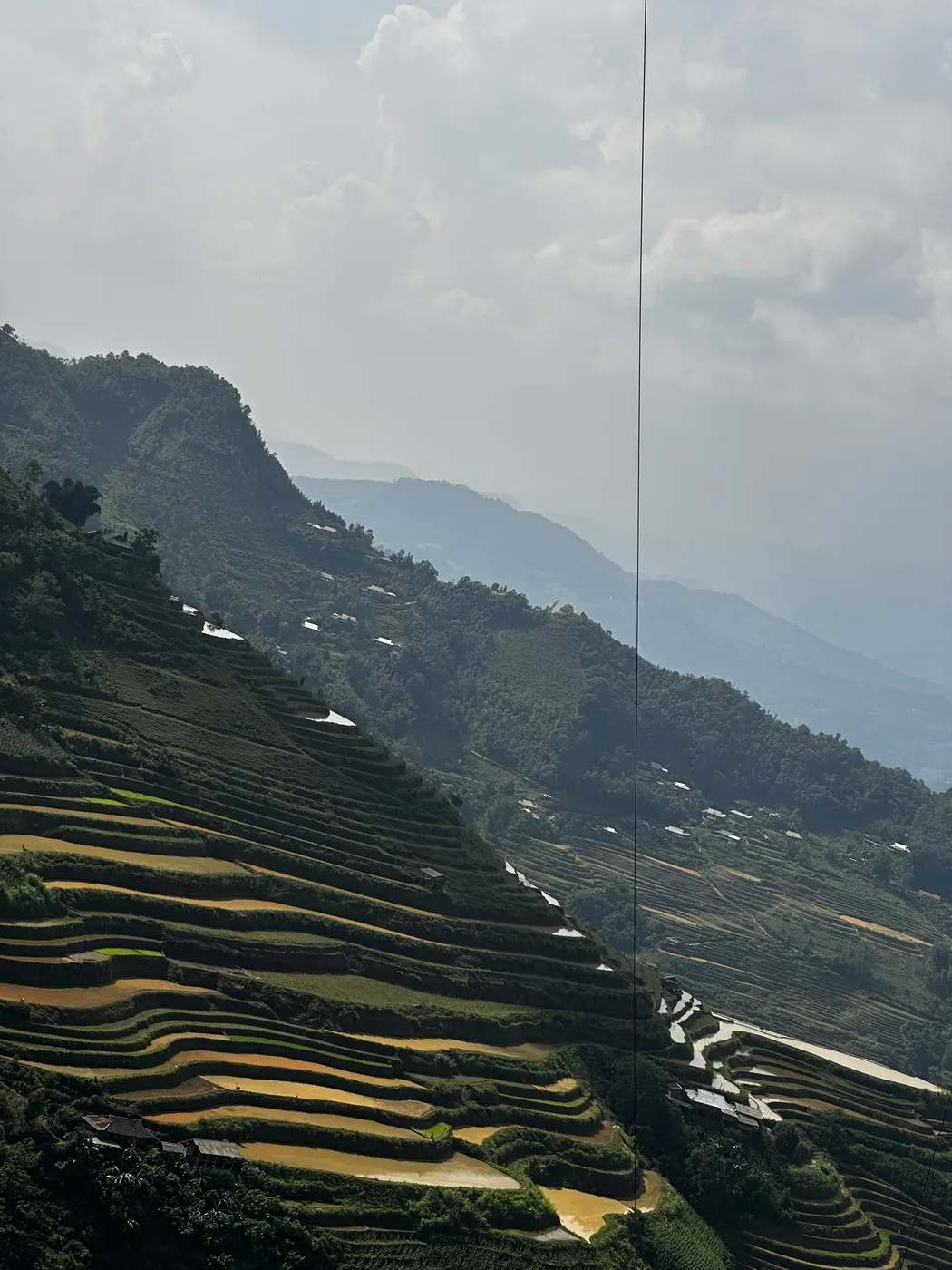 Green rice terraces stepping down a mountainside in Vietnam