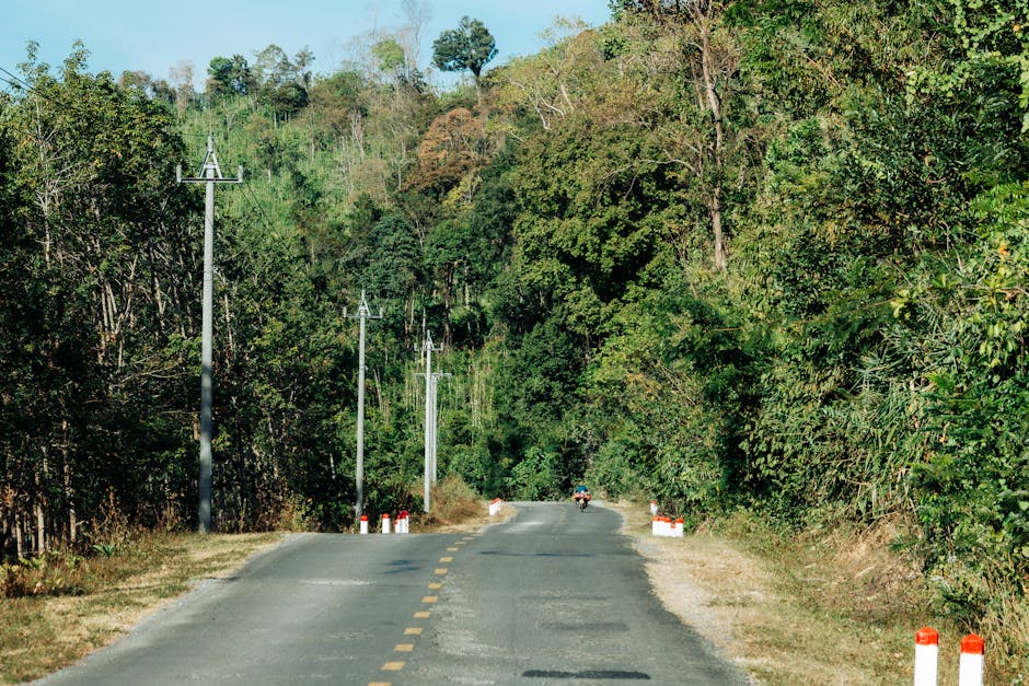 Tropical highway stretching through the Vietnamese countryside