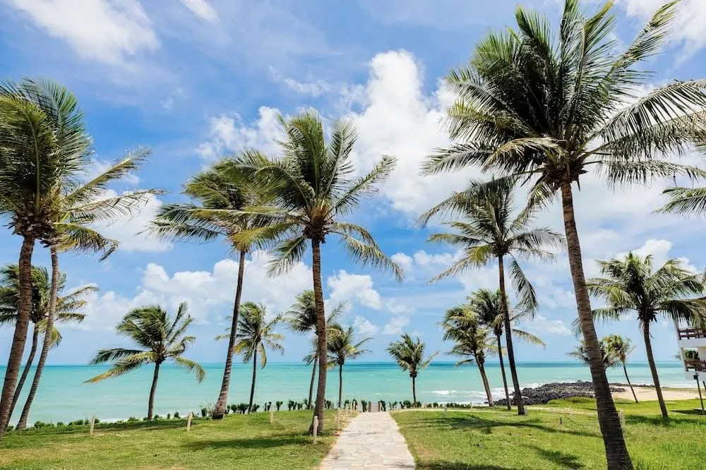 Palm tree avenue along Nha Trang beachfront promenade