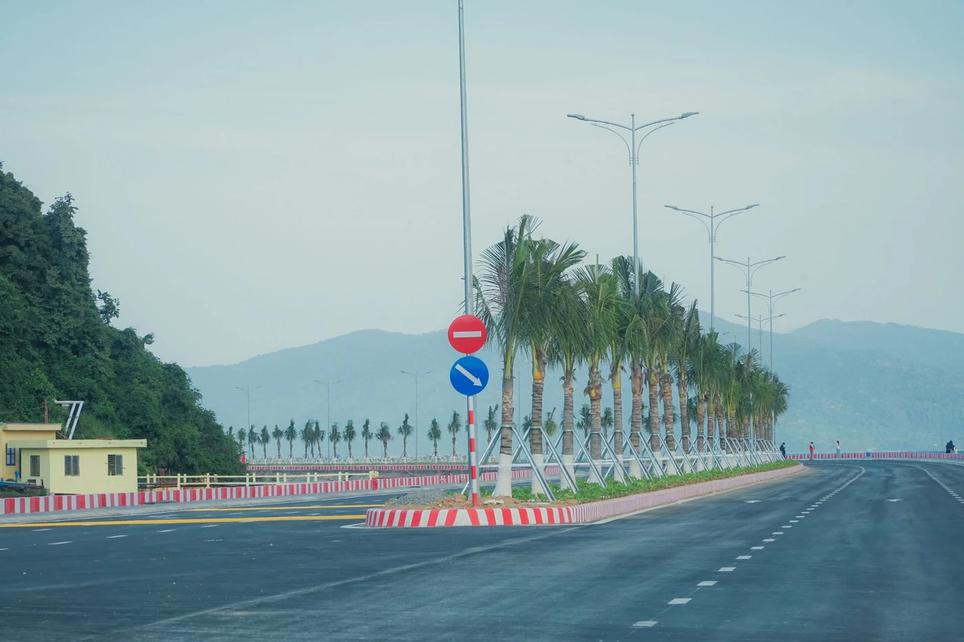 Empty coastal highway in Da Nang lined with palm trees near the Hai Van Pass approach