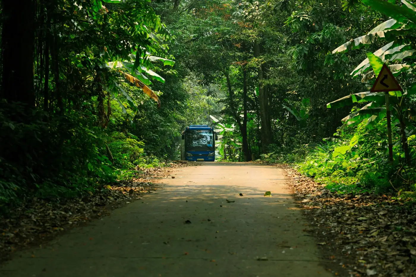 Blue sleeper bus driving through a jungle road in Vietnam