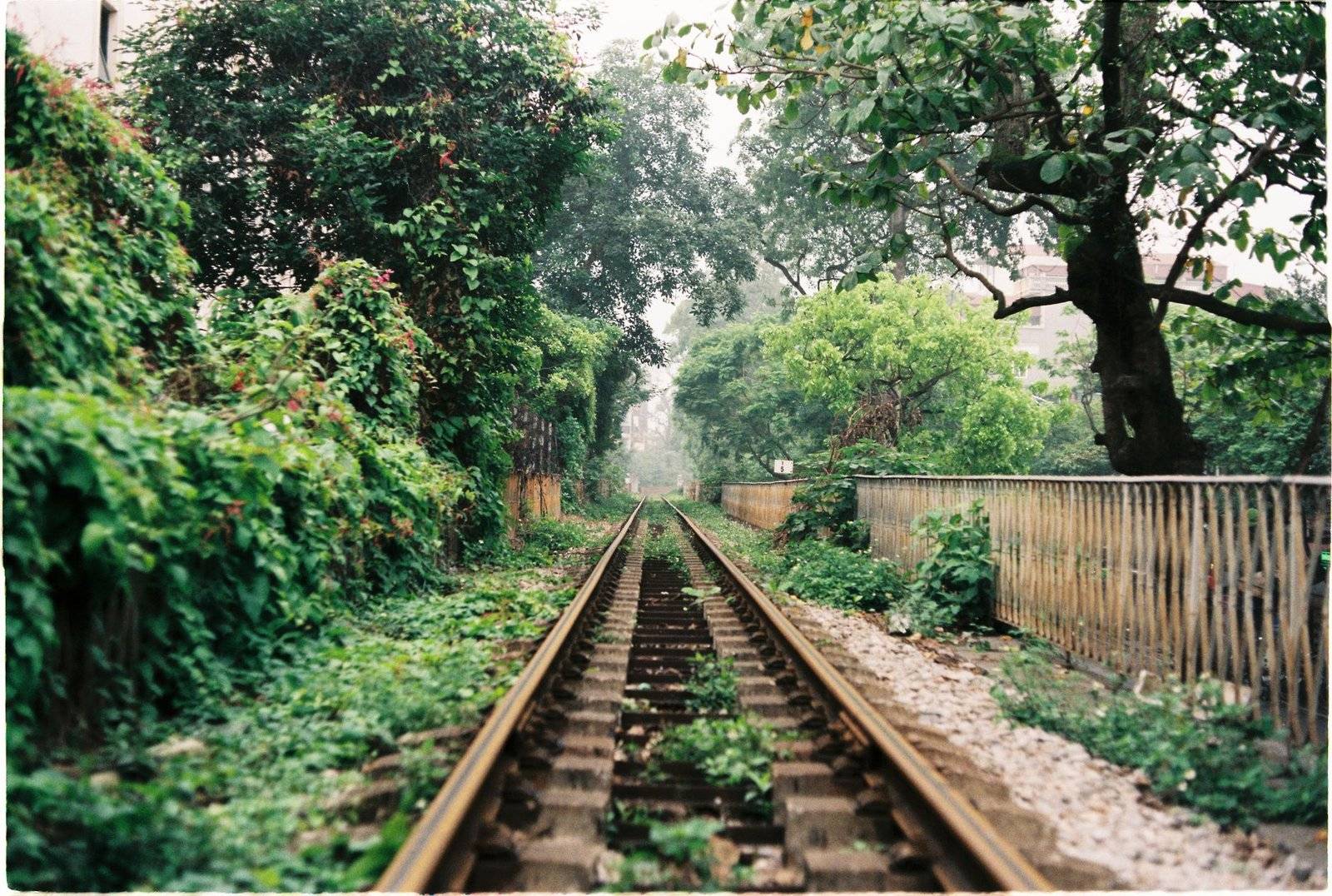 Railway tracks running through Vietnam’s countryside