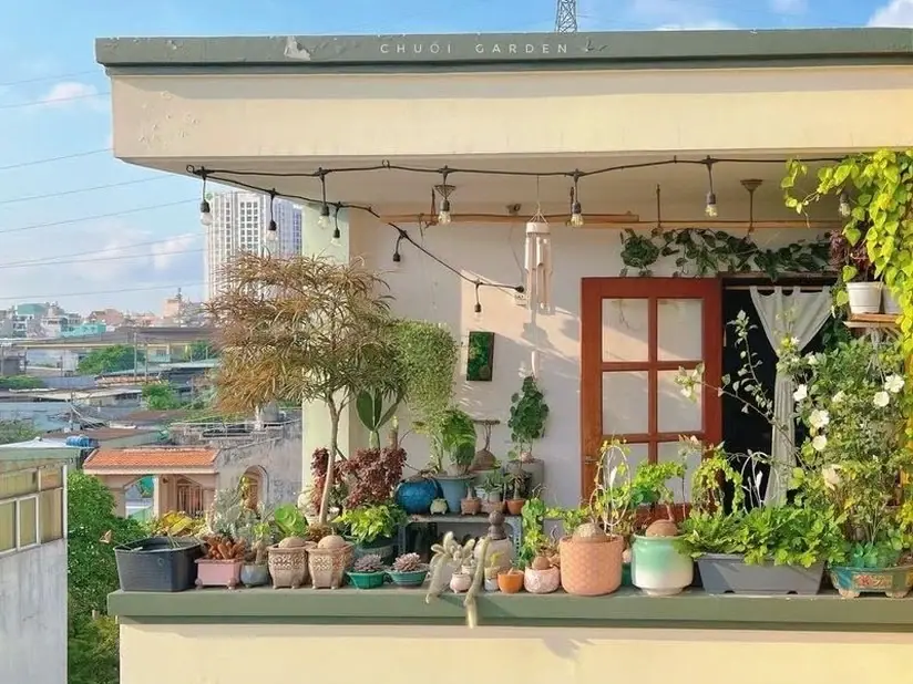Rooftop terrace with potted plants and string lights