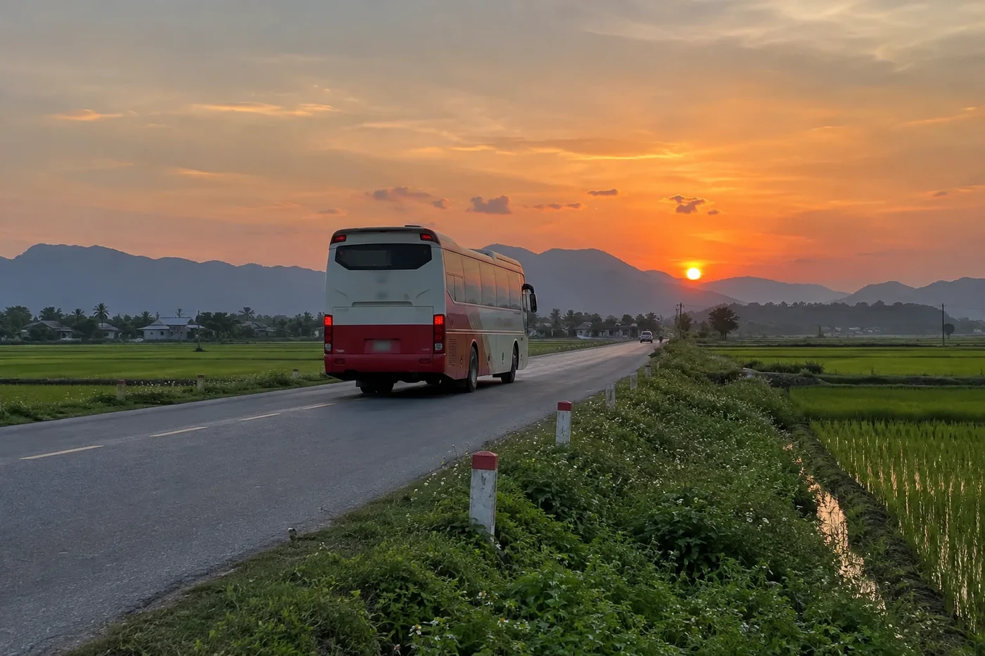 Coach on a road through rice fields at sunset