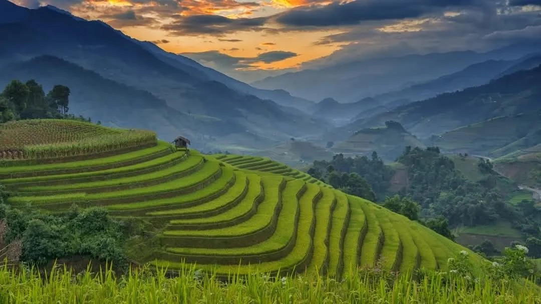 Rice terraces glowing under a sunset in a Vietnamese mountain valley