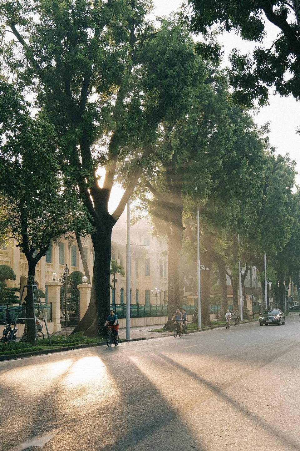 Tree-lined Vietnamese city street at sunrise with cyclists