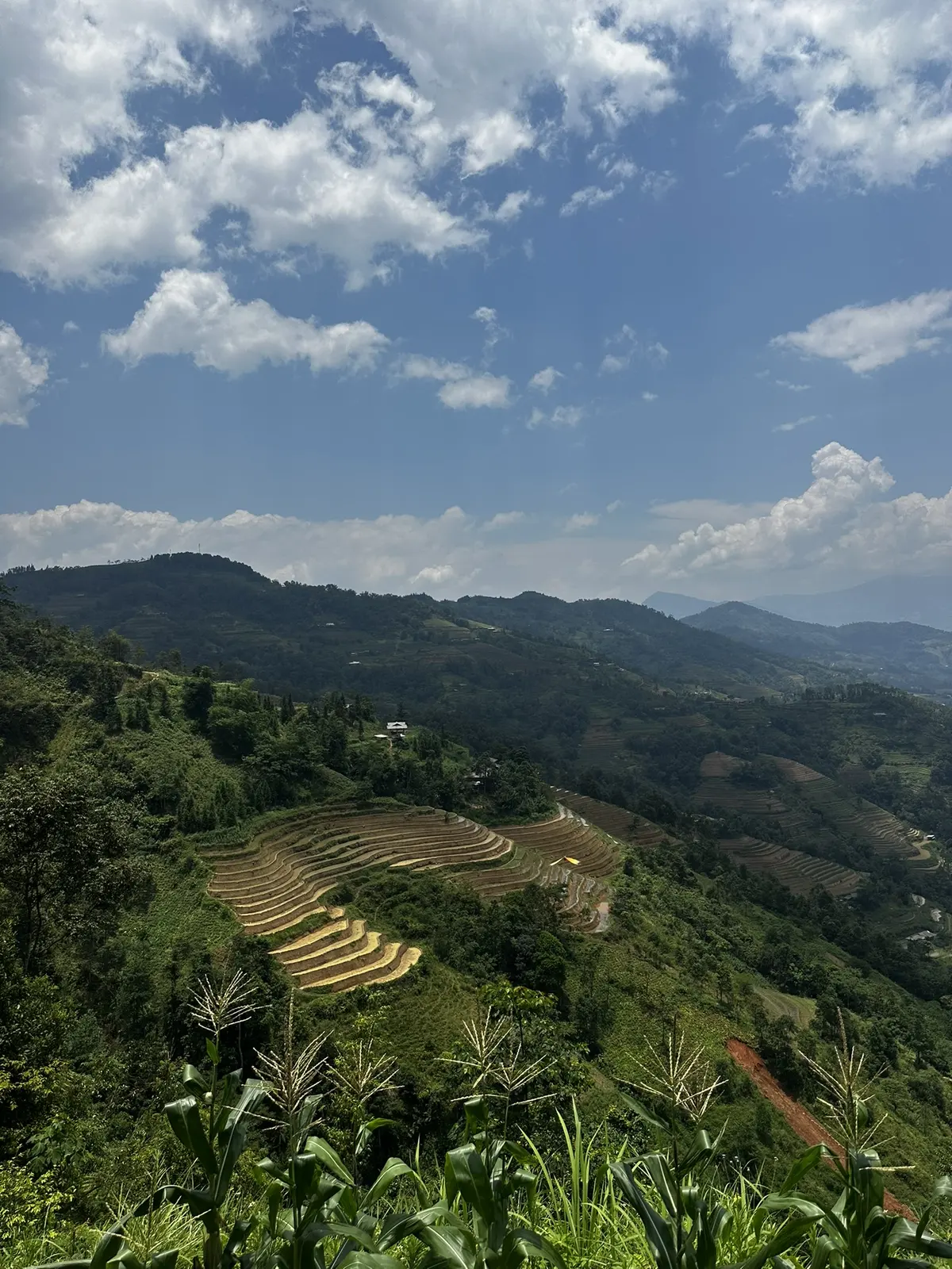 Rice terraces in Ha Giang province northern Vietnam