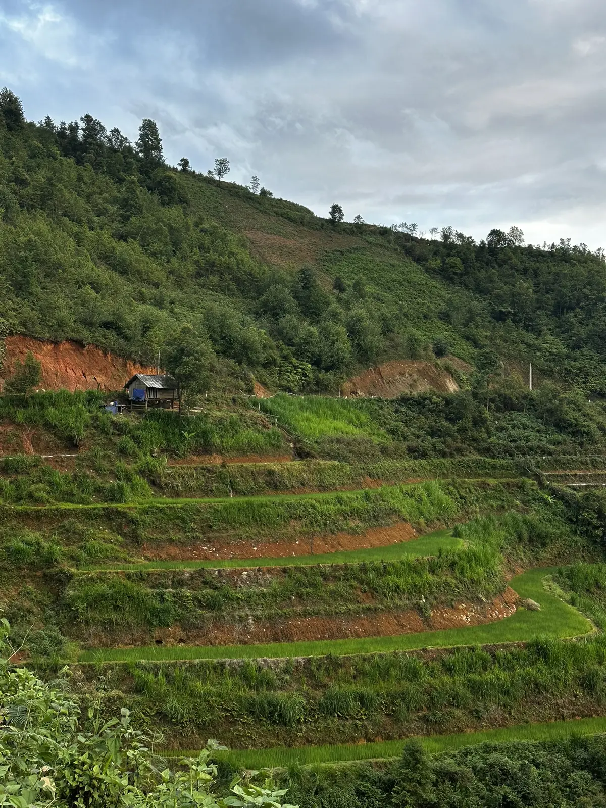 Panoramic viewpoint over Vietnamese valley
