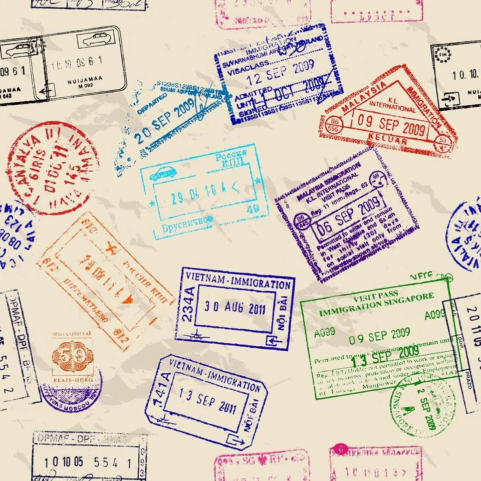 Who should take the DT investor route?
