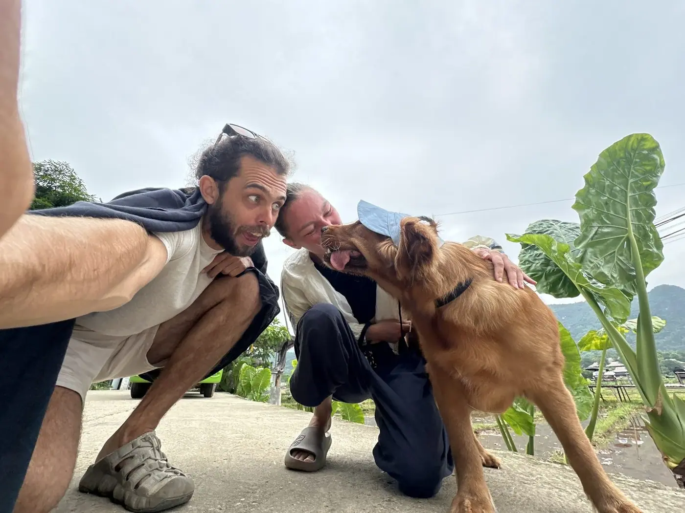 Travelers laughing with a local dog during a Da Nang visa run