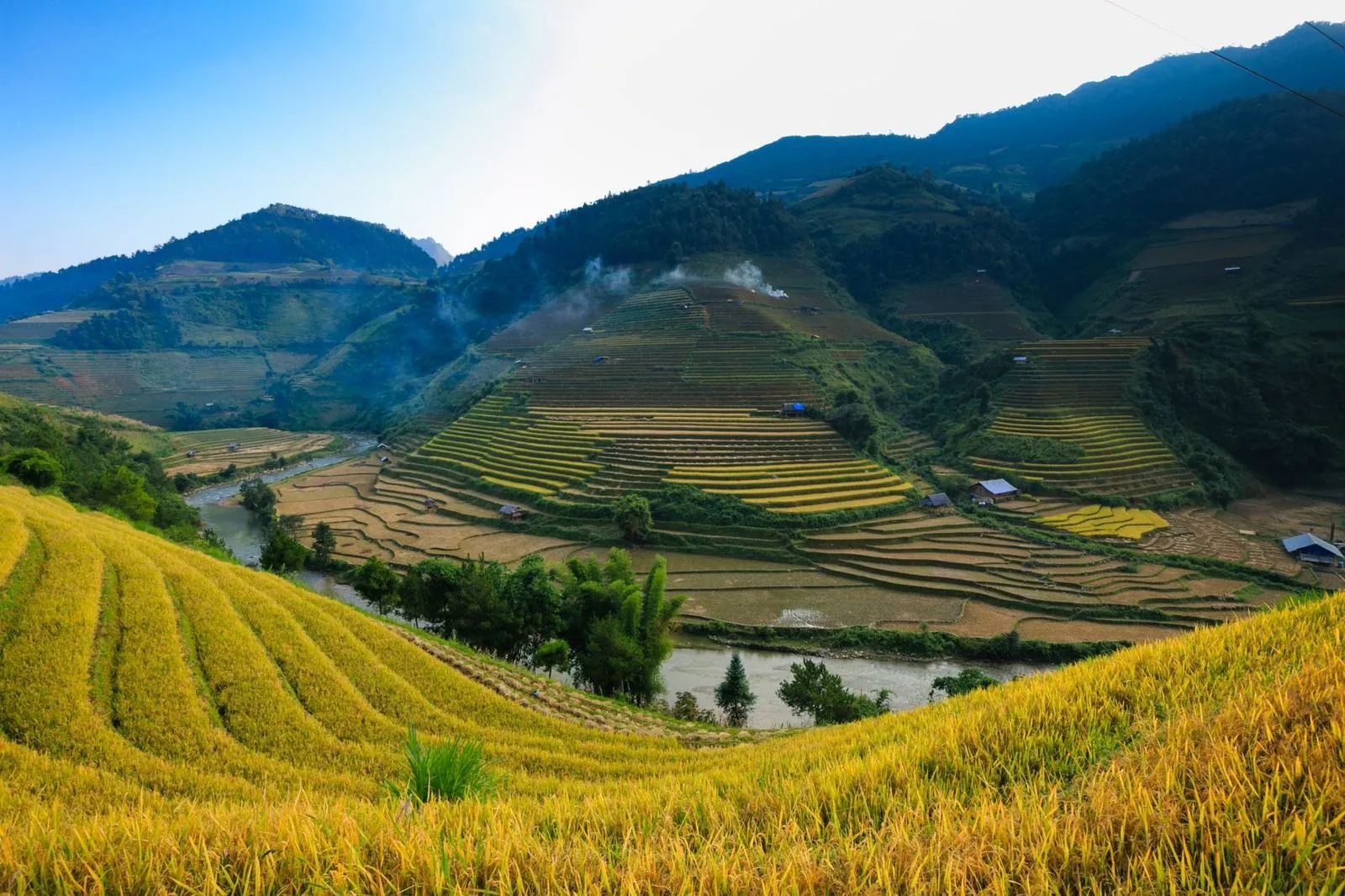 Golden rice terraces cut into mountain slopes in northern Vietnam