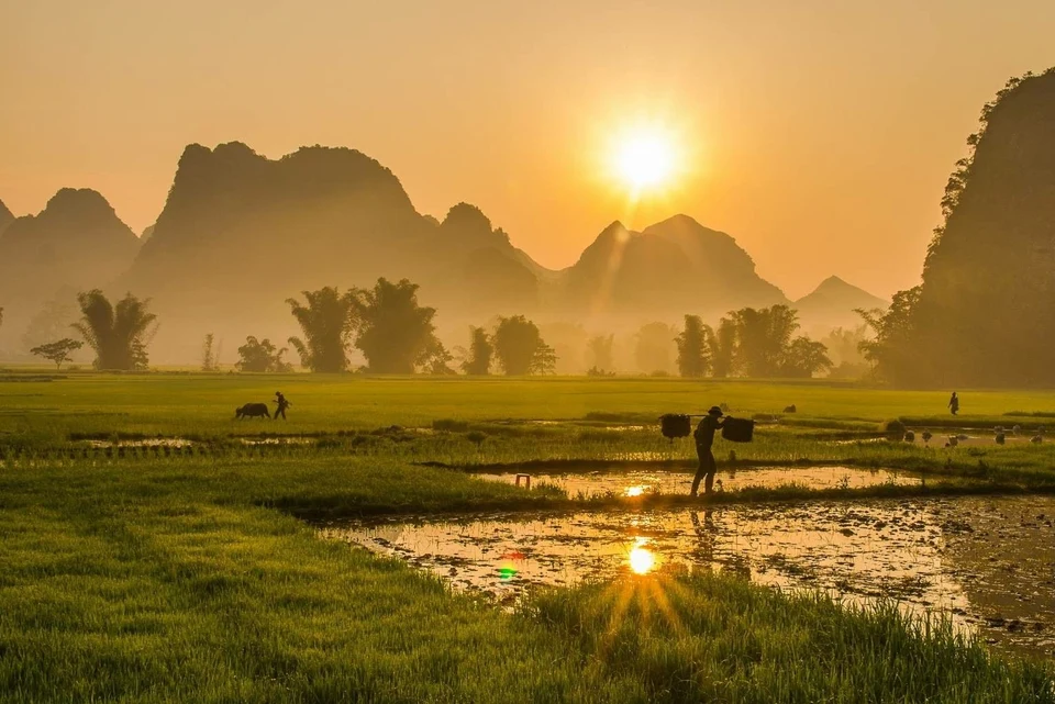 Vietnam Visa Exemption vs E-Visa: Entry Myth
