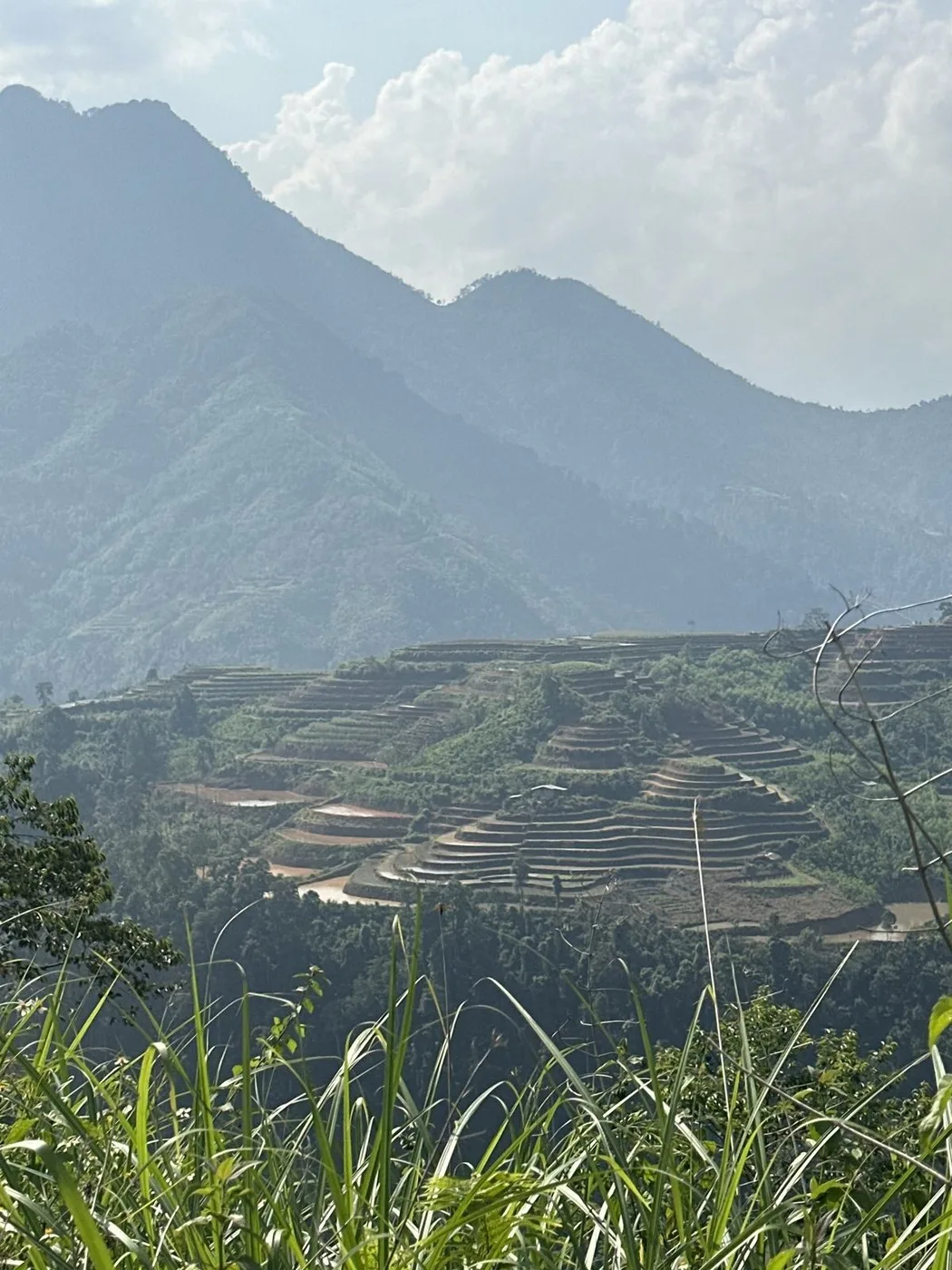 Terraced rice fields on a misty mountainside in northern Vietnam