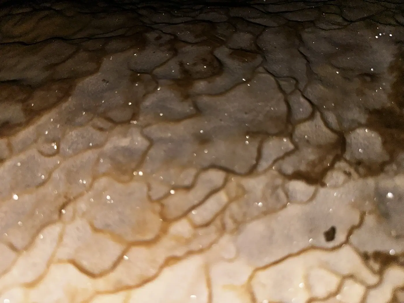 Close-up of limestone drip formations inside a Vietnamese cave