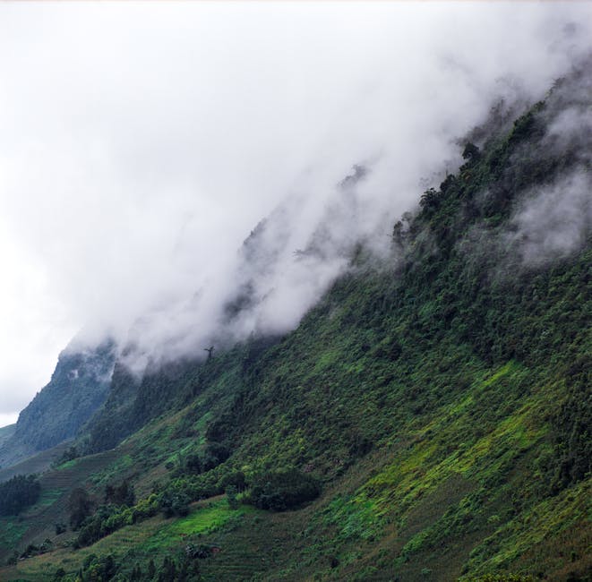 Misty mountain slopes in central Vietnam near the Laos border