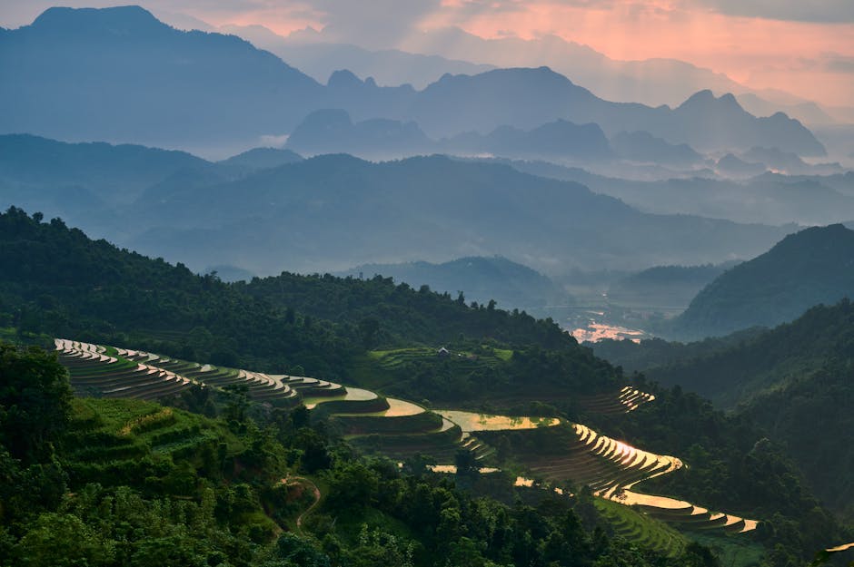 Sunrise over rice terraces in northern Vietnam, mountain mist, golden light