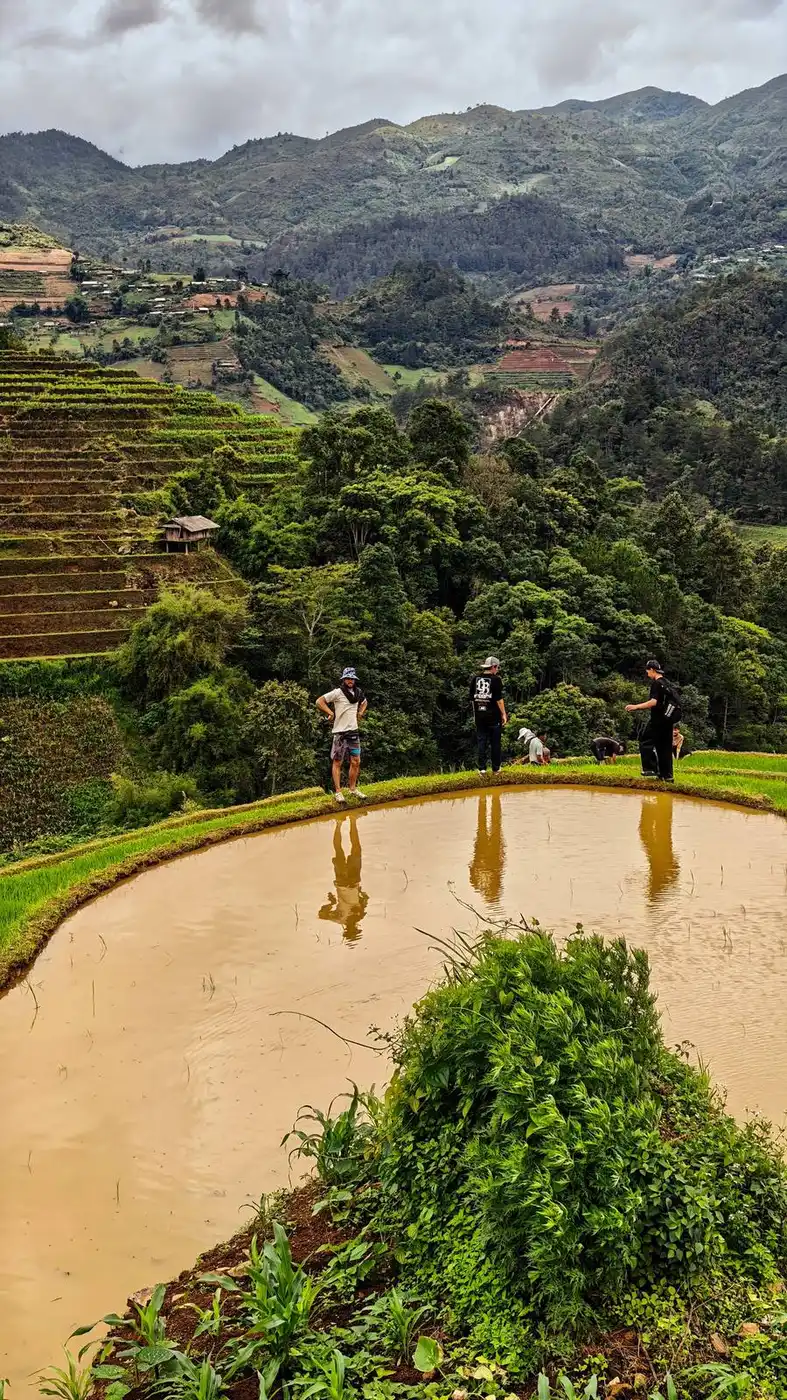 Travelers walking past rice terraces in the mountains of Vietnam