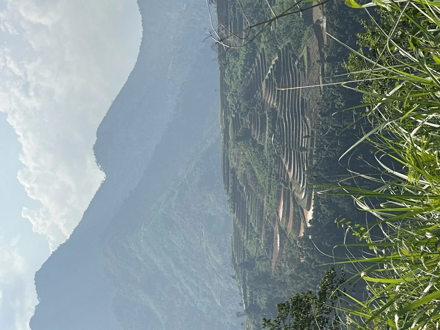Tea plantation terraces on a mountainside in Vietnam
