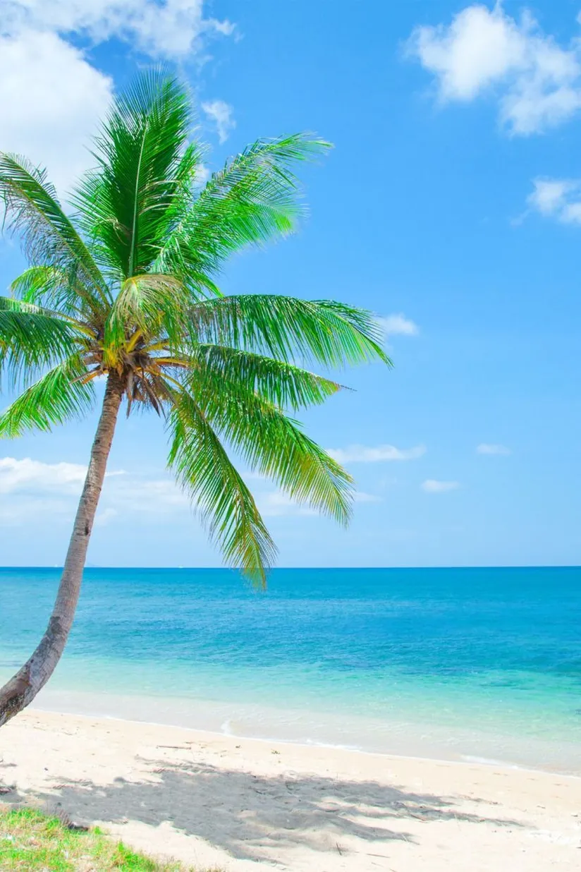 Phu Quoc island beach