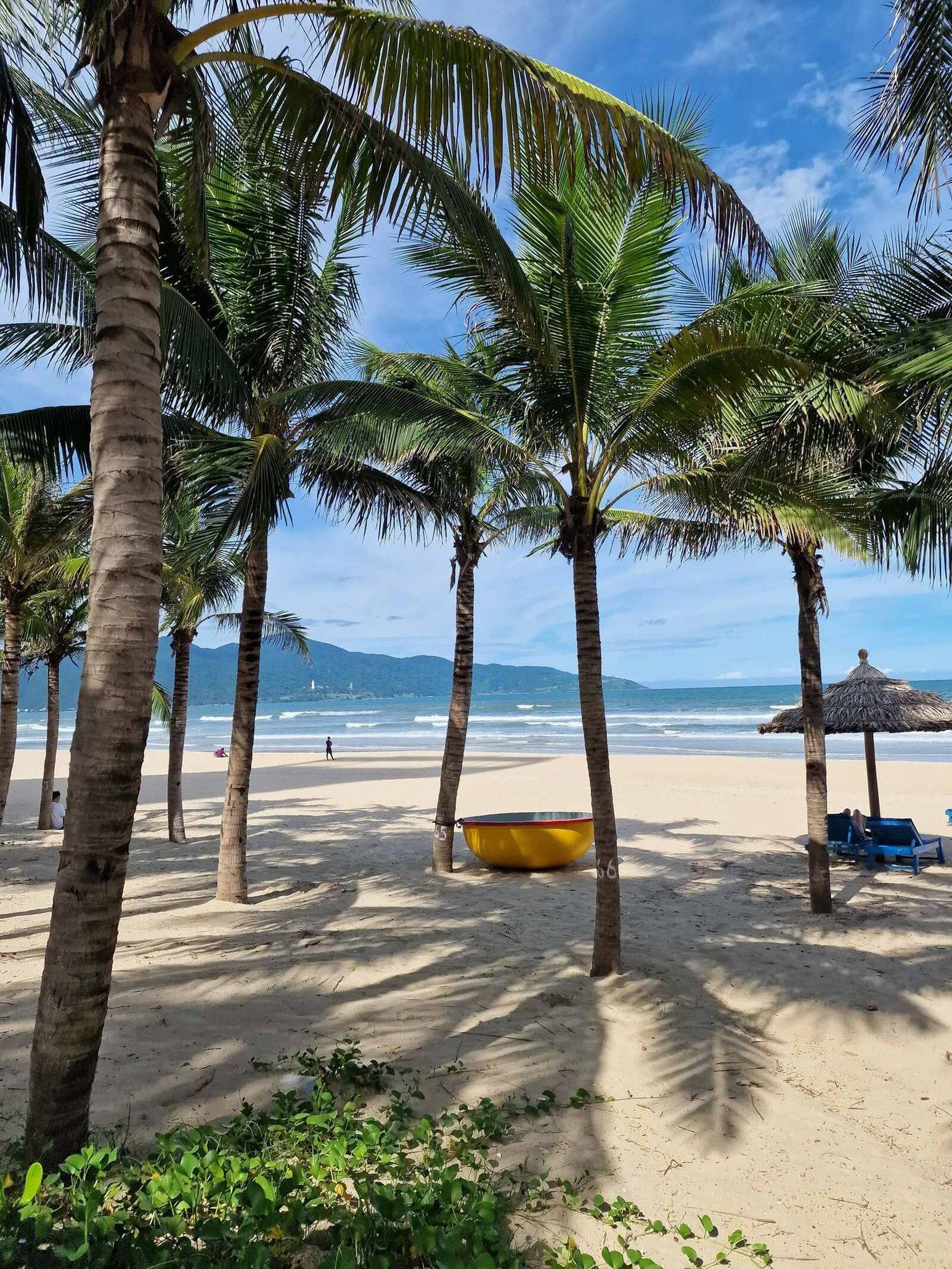 Da Nang beach with palms