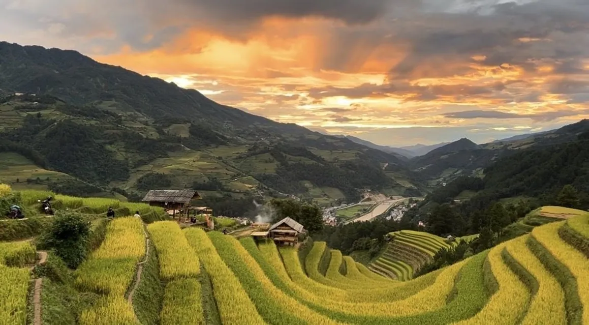 Golden rice terraces glowing under a dramatic sunset in northern Vietnam