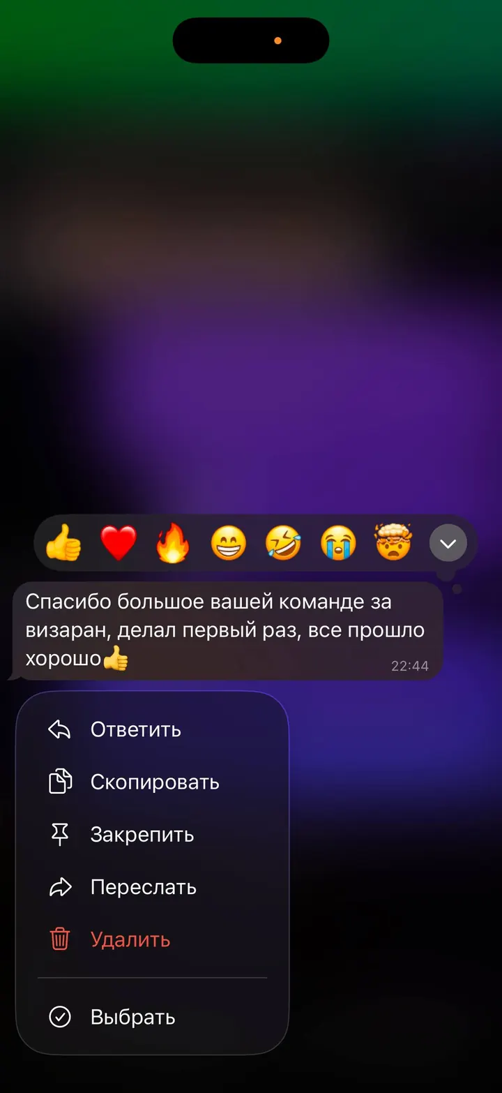 Telegram review screenshot from Me VN, 2026-06-16 — Best Bus visa run / e-visa client feedback