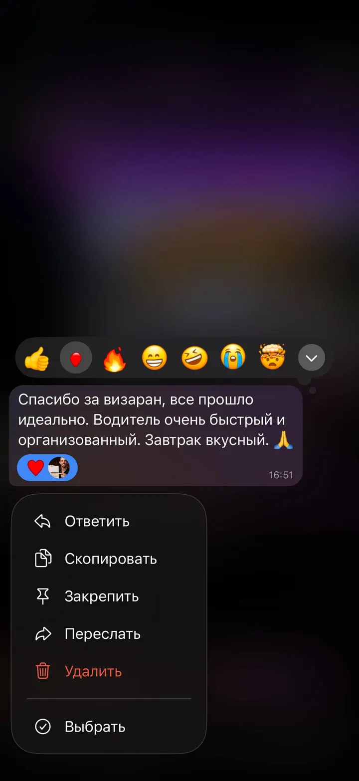 Telegram review screenshot from Me VN, 2026-06-16 — Best Bus visa run / e-visa client feedback