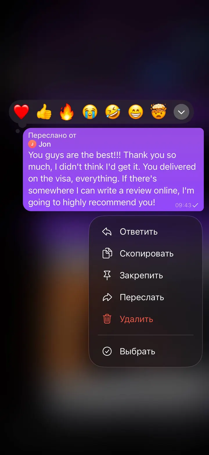 Telegram review screenshot from Jon, 2026-07-23 — Best Bus visa run / e-visa client feedback