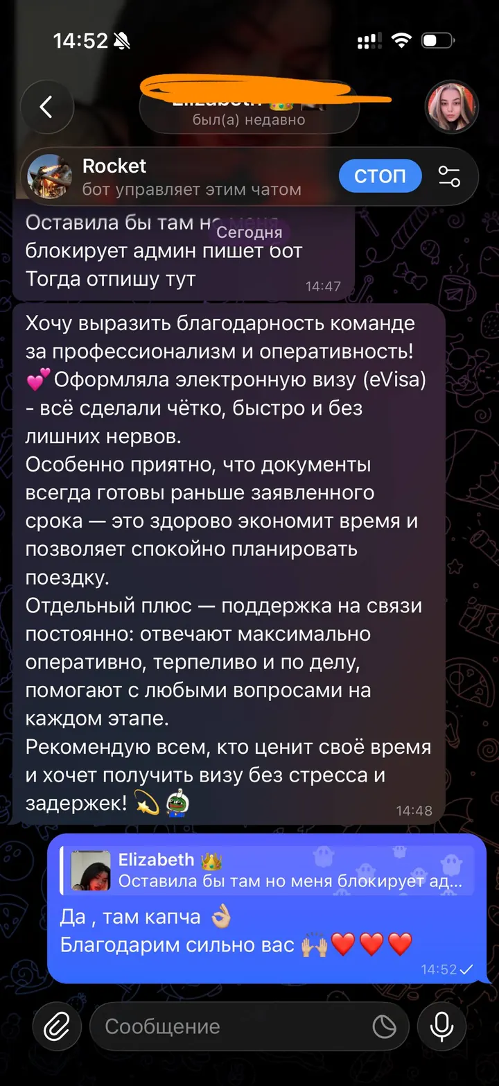 Telegram review screenshot from Elizabeth, 2026-08-06 — Best Bus visa run / e-visa client feedback