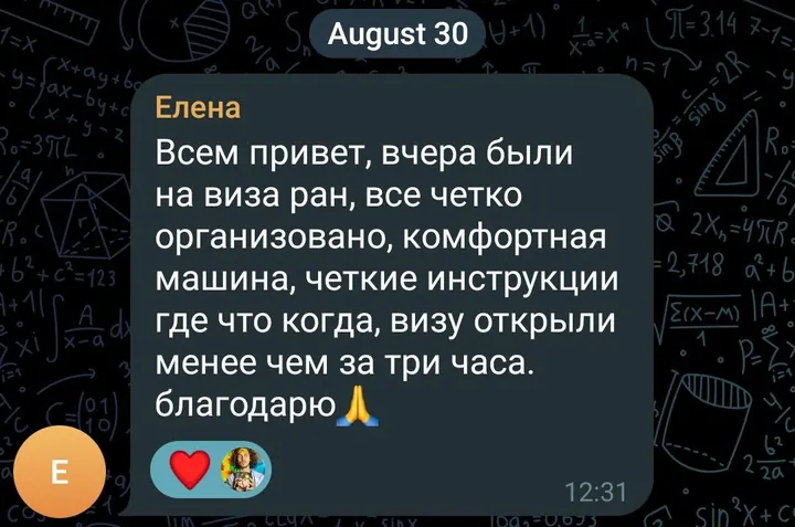 Telegram review screenshot from Елена, 2024-08-30 — Best Bus visa run / e-visa client feedback