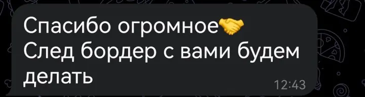 Telegram review screenshot from клиент, 2025-02-12 — Best Bus visa run / e-visa client feedback