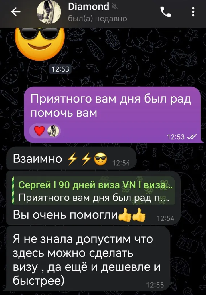 Telegram review screenshot from Me VN, 2025-03-28 — Best Bus visa run / e-visa client feedback